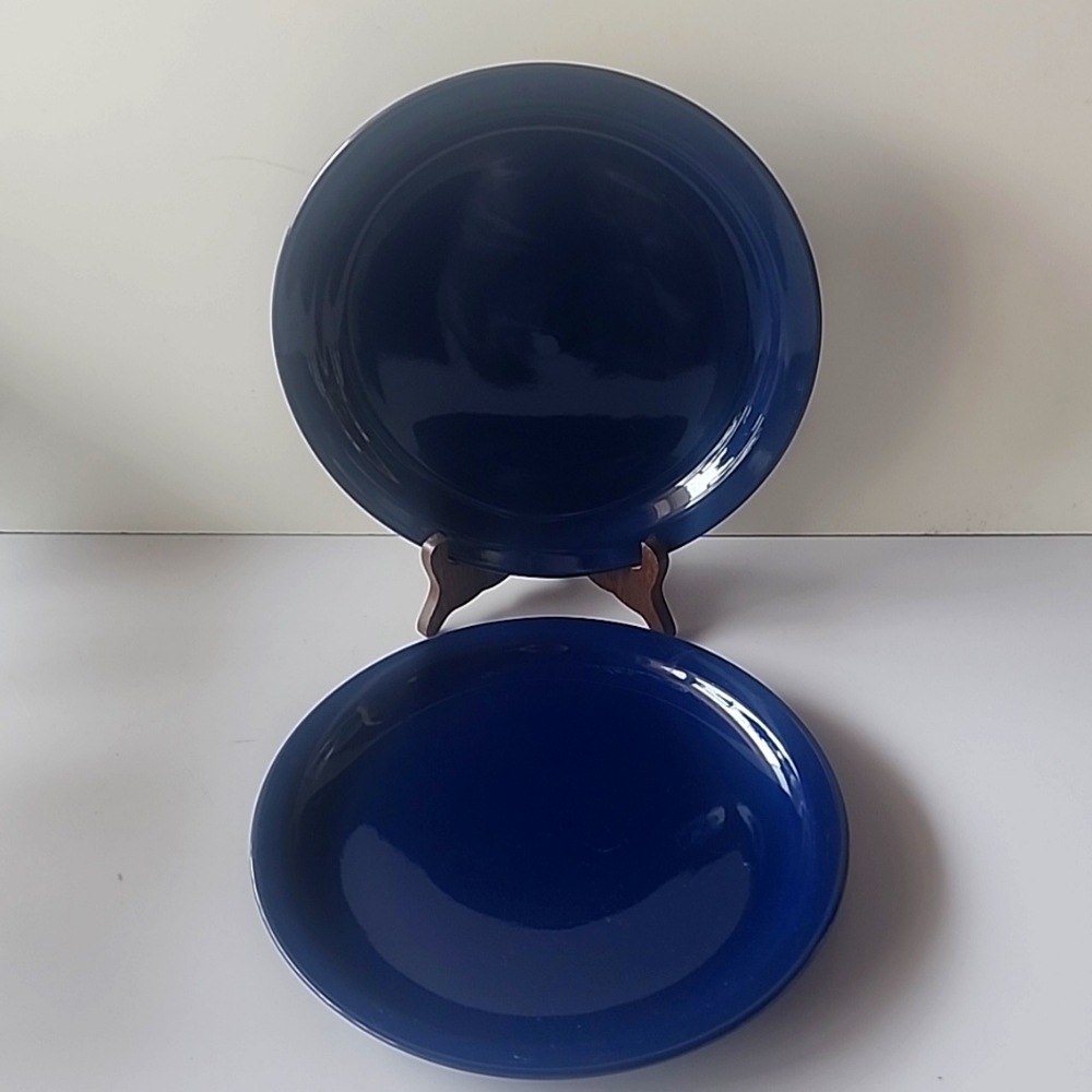 2 piece of Todays Home, Blue Dinner Plates.